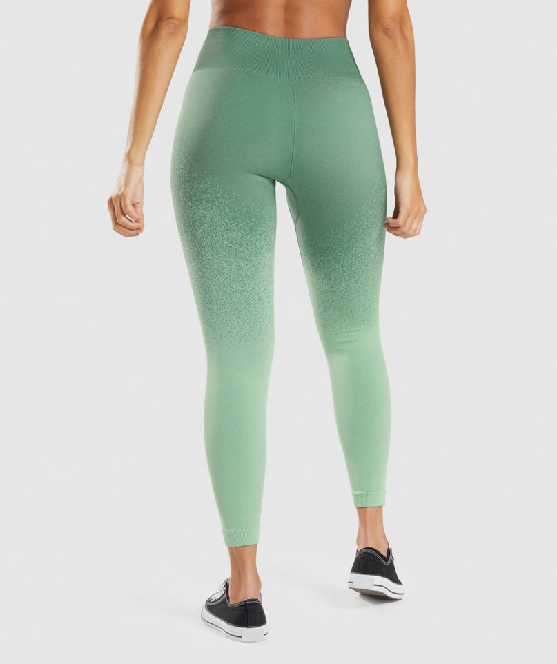 Women's Gymshark Adapt Ombre Seamless Leggings Green | NZ 6VBTLA